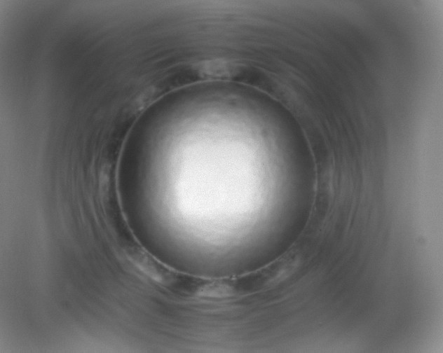 X0000082140271200702021617