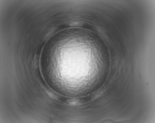 X0000082140273200702021617