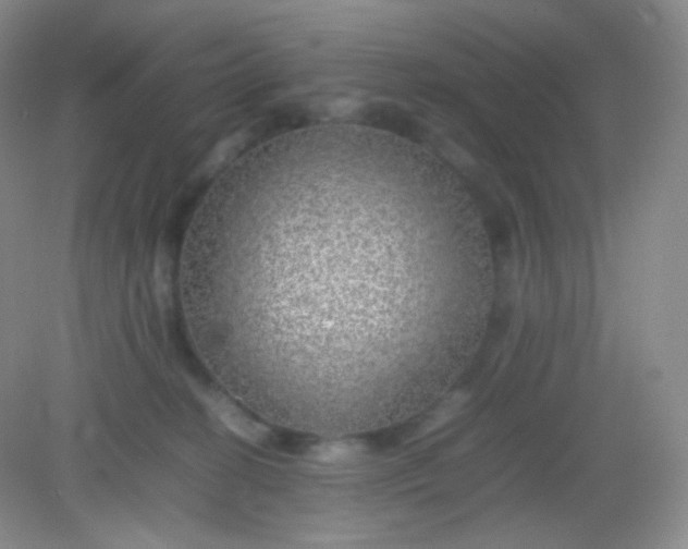 X0000082140274200702021617