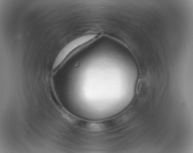 X0000082140277200702021617