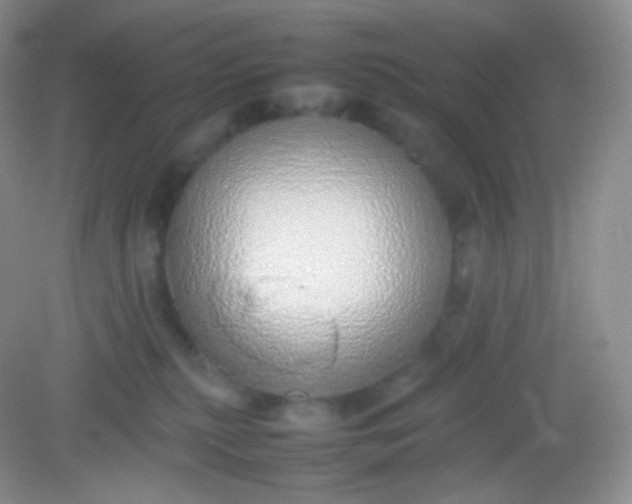 X0000082140279200702021617