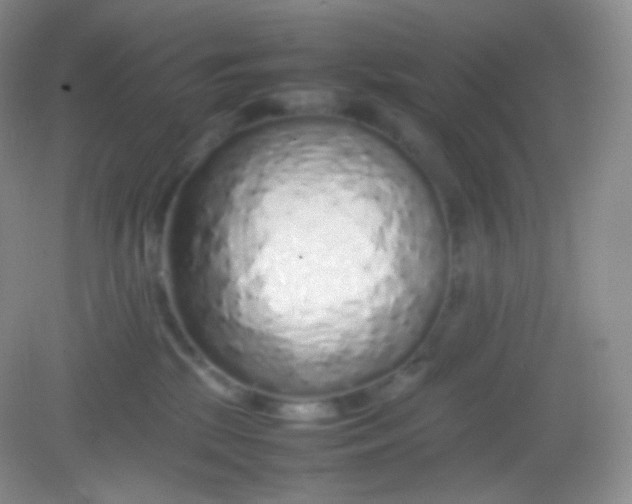 X0000082140281200702021617