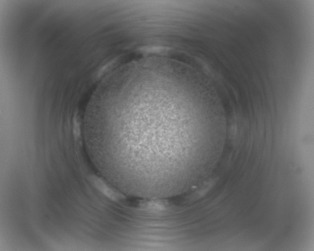 X0000082140282200702021617