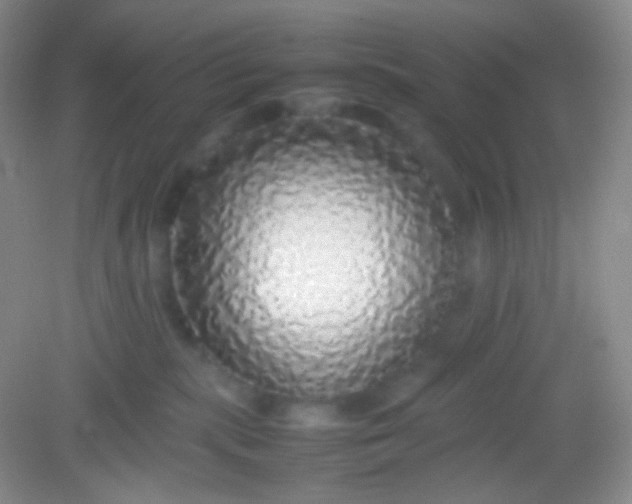 X0000082140283200702021617