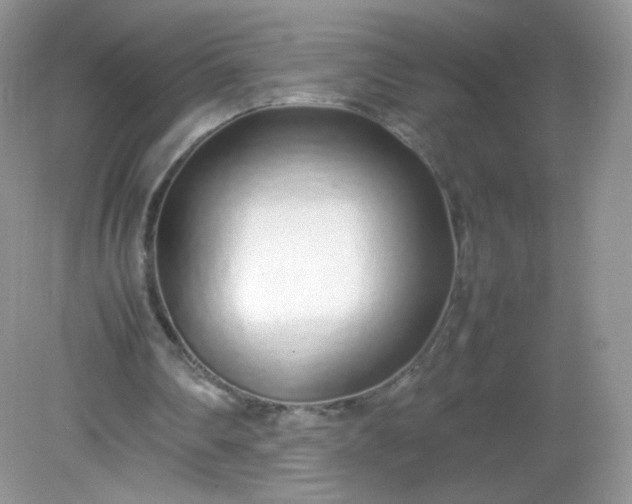 X0000082140290200702021616