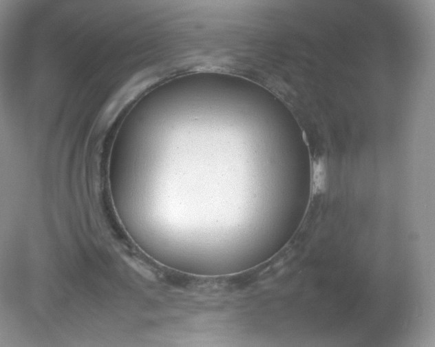 X0000082140291200702021616