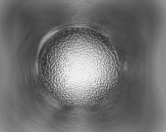 X0000082140294200702021616