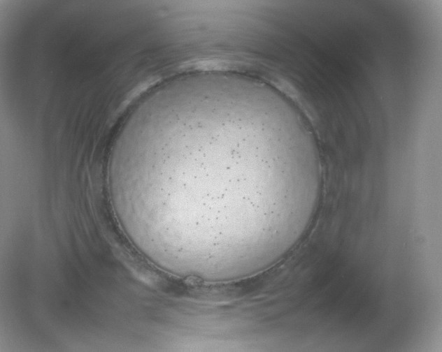 X0000082140297200702021616