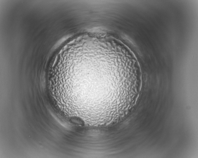 X0000082140298200702021616