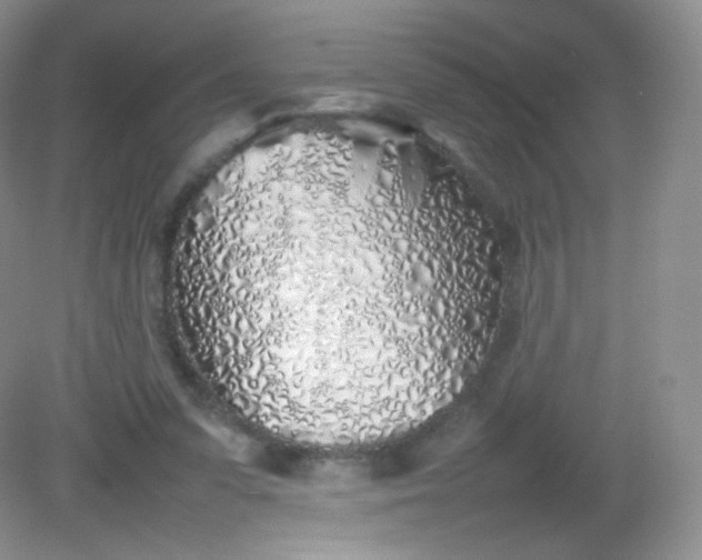 X0000082140303200702021616