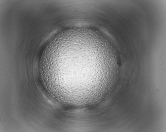 X0000082140306200702021616