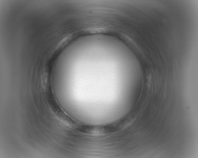 X0000082140308200702021616