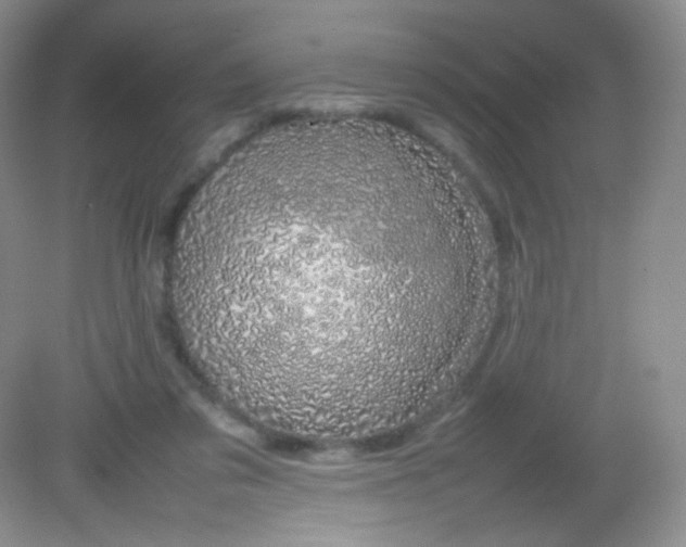 X0000082140309200702021616