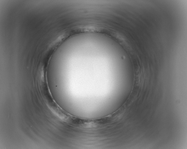X0000082140310200702021616