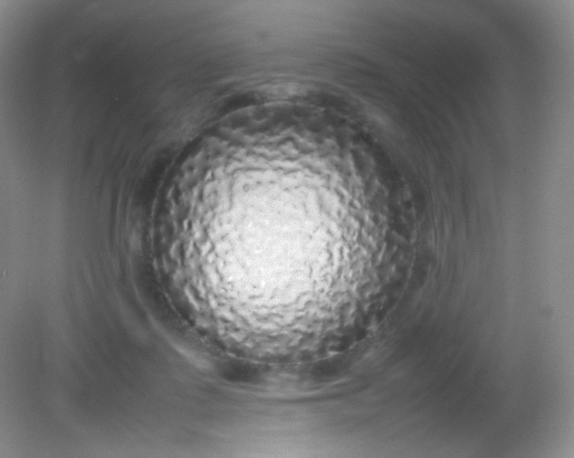 X0000082140315200702021616