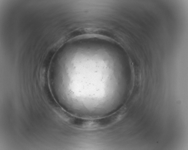 X0000082140319200702021616
