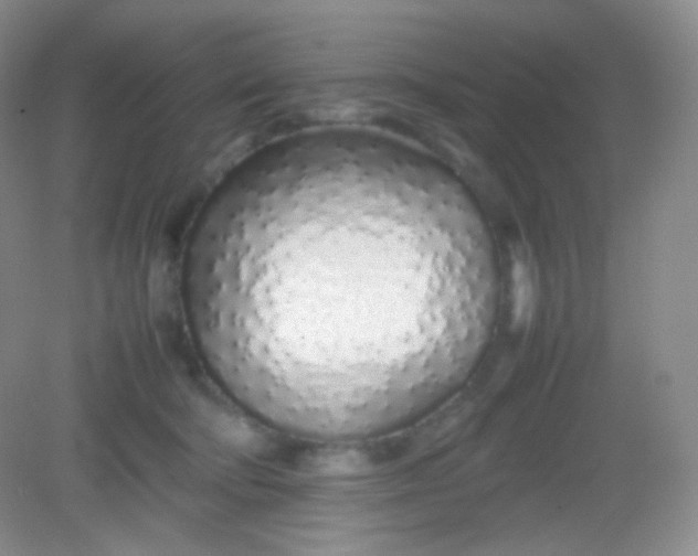 X0000082140322200702021616