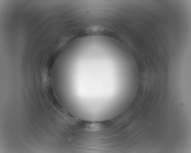 X0000082140324200702021616