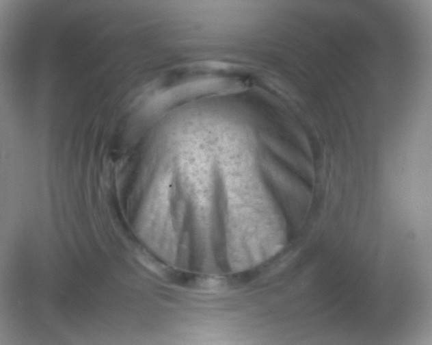 X0000082140325200702021616