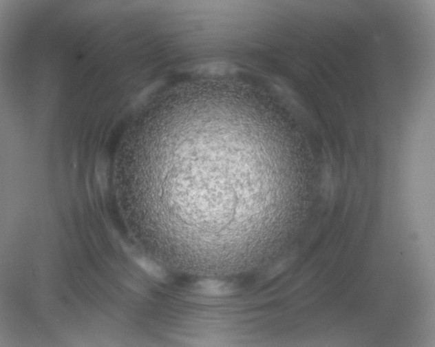 X0000082140326200702021616