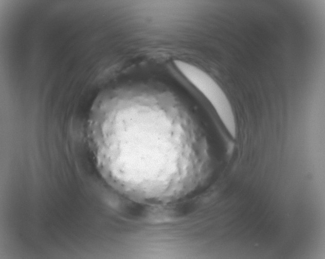 X0000082140331200702021616