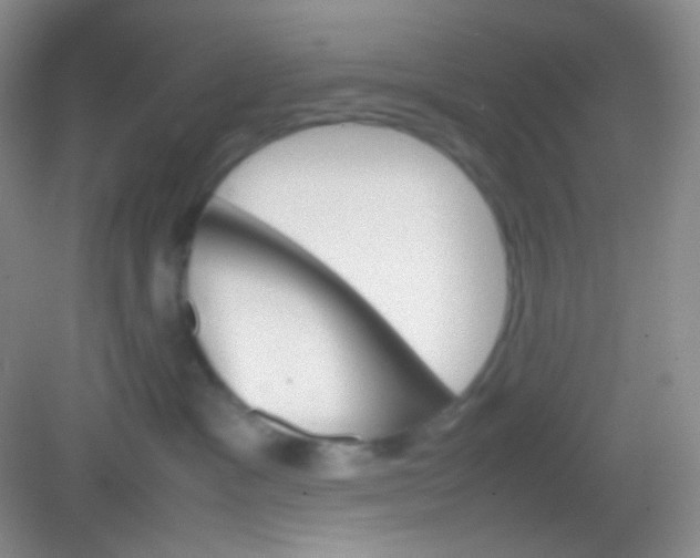 X0000082140333200702021615