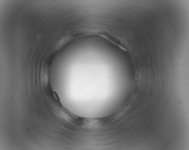 X0000082140334200702021615
