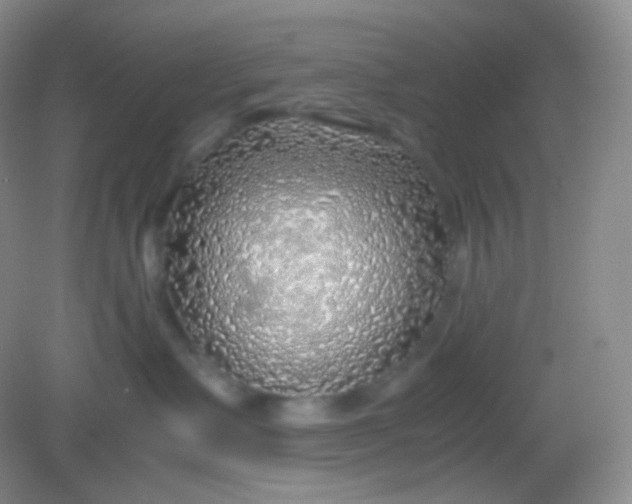 X0000082140335200702021615