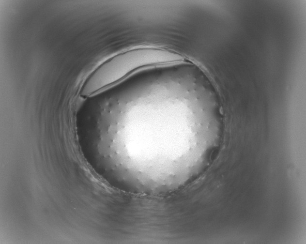 X0000082140337200702021615