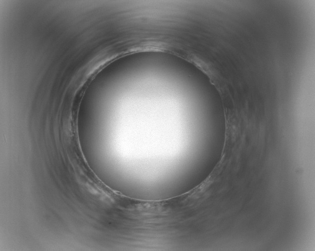 X0000082140338200702021615