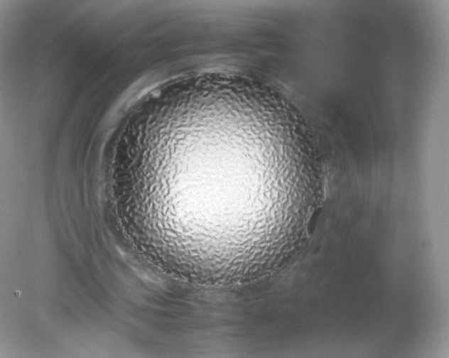 X0000082140339200702021615