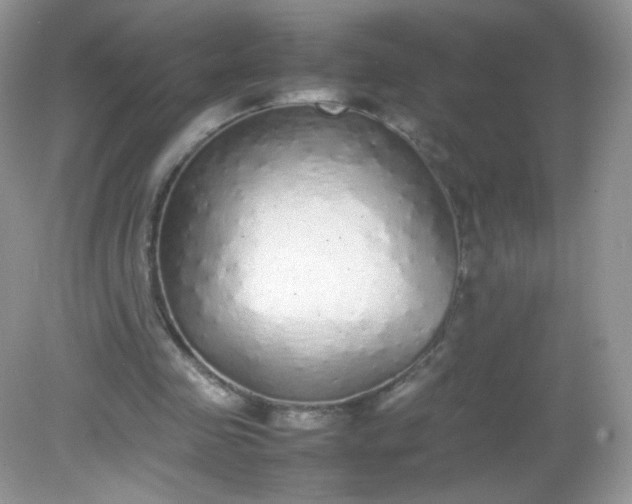 X0000082140341200702021615
