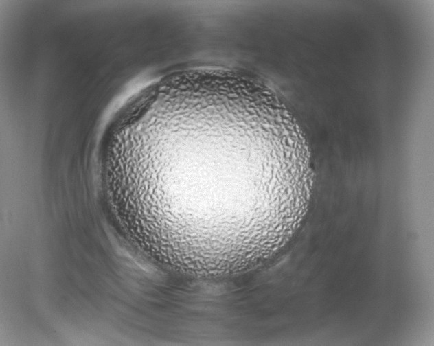 X0000082140343200702021615