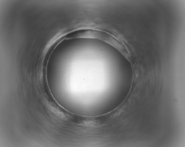X0000082140344200702021615