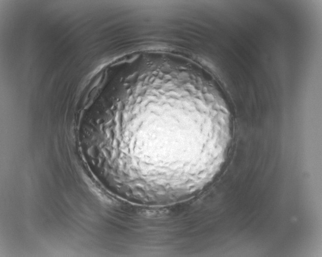 X0000082140345200702021615