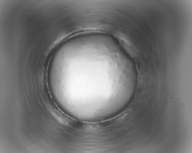 X0000082140346200702021615