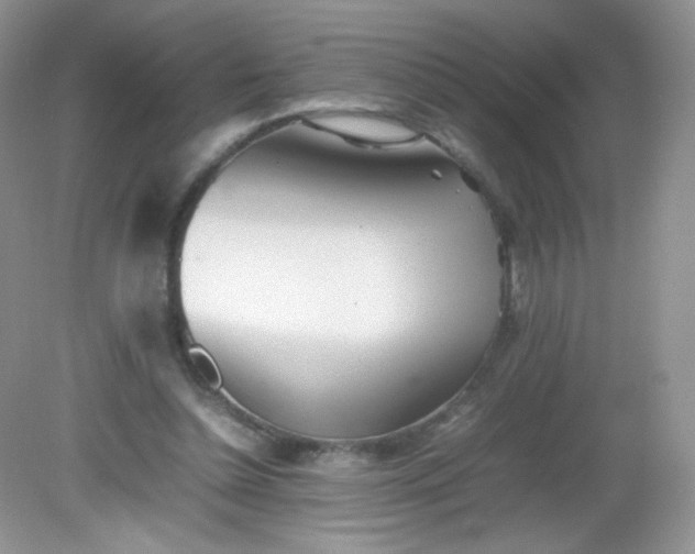 X0000082140348200702021615