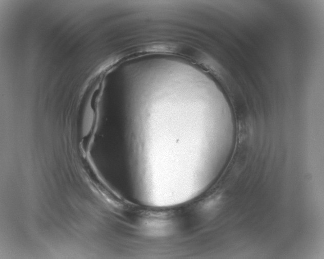 X0000082140349200702021615