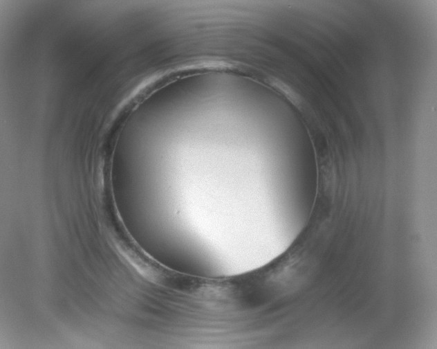 X0000082140350200702021615