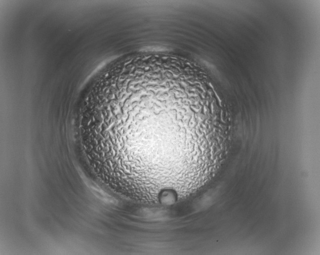 X0000082140351200702021615