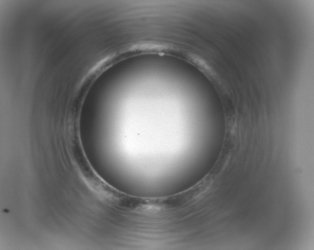 X0000082140352200702021615