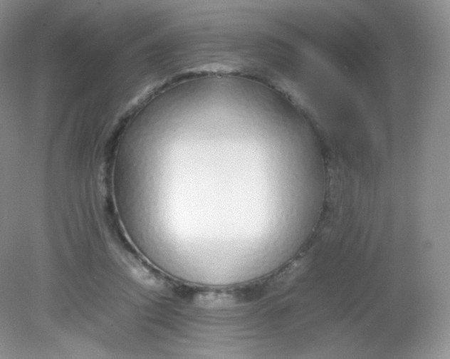 X0000082140354200702021615