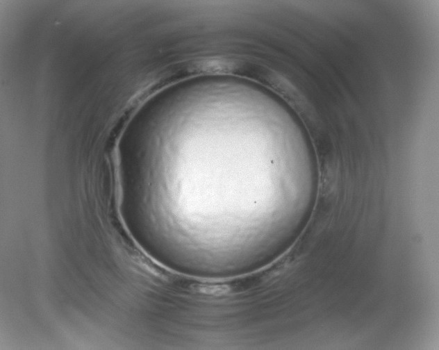 X0000082140355200702021615