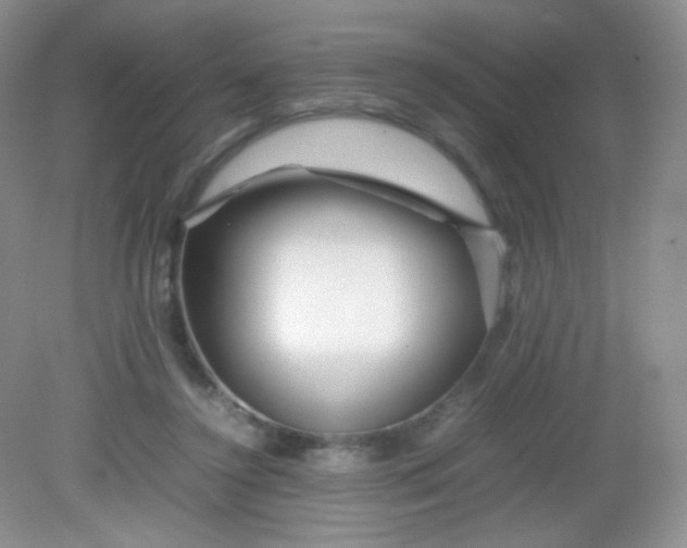 X0000082140356200702021615