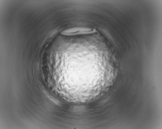 X0000082140357200702021615
