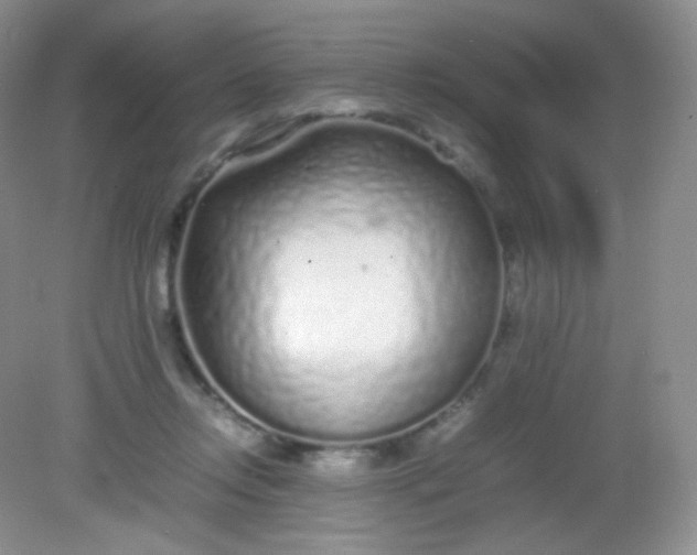X0000082140358200702021615