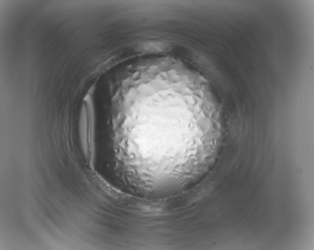 X0000082140359200702021615