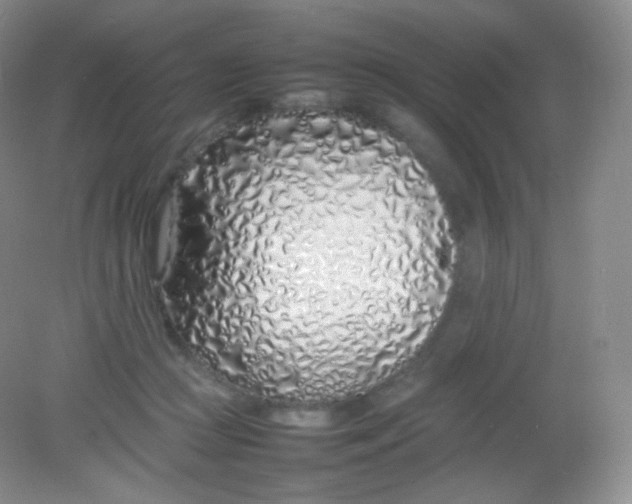 X0000082140361200702021615