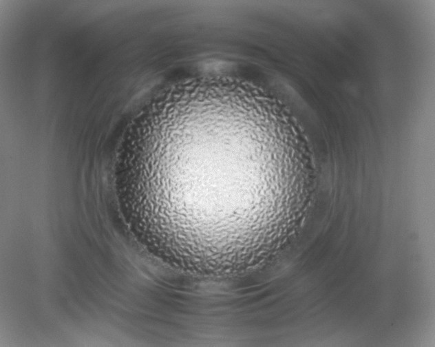 X0000082140363200702021615