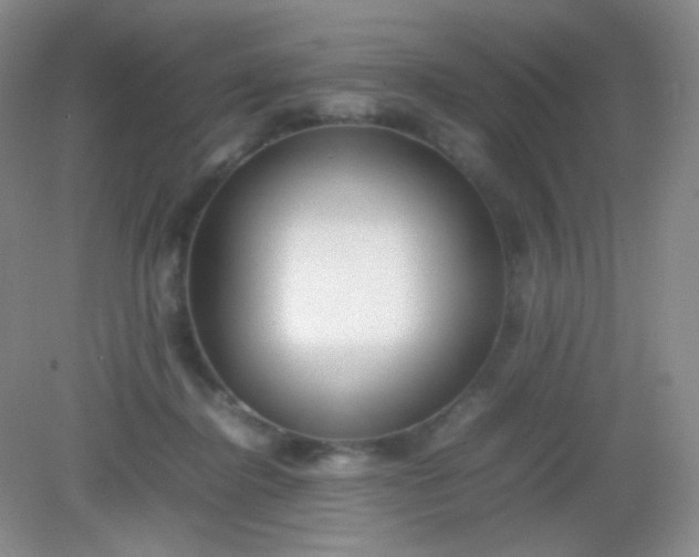 X0000082140364200702021615